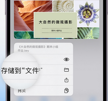 庆城apple维修中心分享iPhone文件应用中存储和找到下载文件