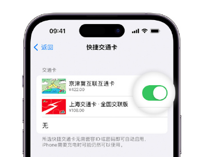 庆城apple维修点分享iPhone上更换Apple Pay快捷交通卡手绘卡面 