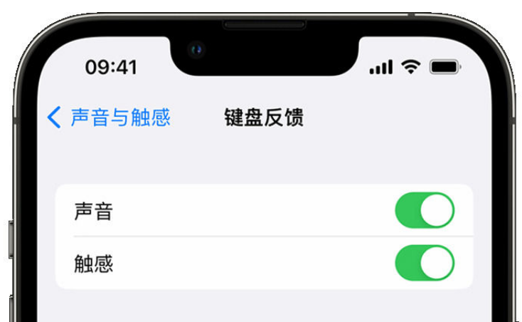 庆城苹果手机维修分享iPhone 14触感键盘使用方法 