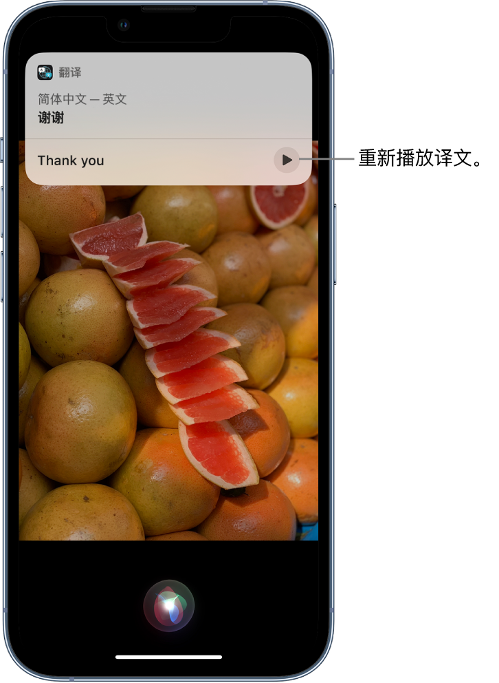 庆城苹果14维修分享 iPhone 14 机型中使用 Siri：了解 Siri 能帮你做什么 