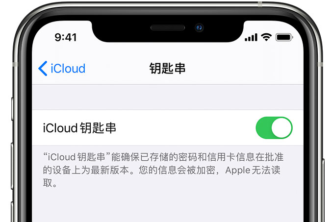 庆城苹果手机维修分享在 iPhone 上开启 iCloud 钥匙串之后会储存哪些信息 