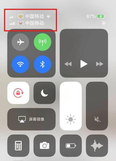 庆城苹果手机维修分享为 iPhone 12 双卡设置标签 