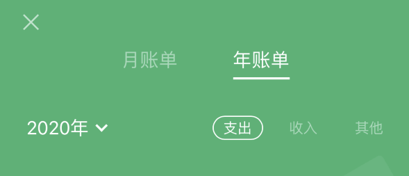 庆城苹果手机维修分享如何在 iPhone 上查看支付宝和微信年支出账单 